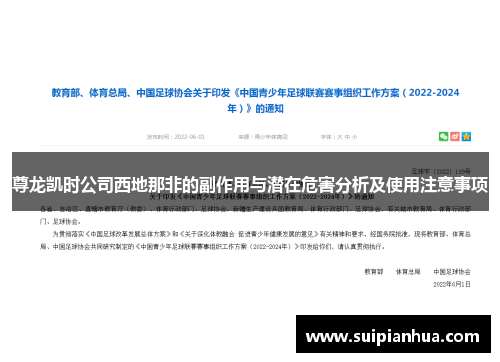 尊龙凯时公司西地那非的副作用与潜在危害分析及使用注意事项