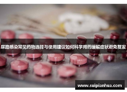 尿路感染常见药物选择与使用建议如何科学用药缓解症状避免复发
