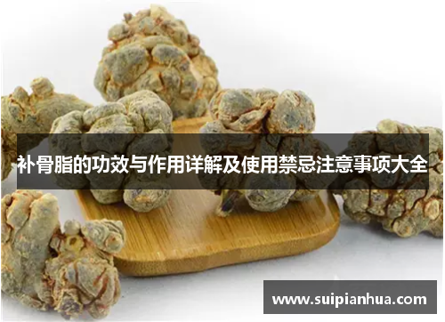 补骨脂的功效与作用详解及使用禁忌注意事项大全
