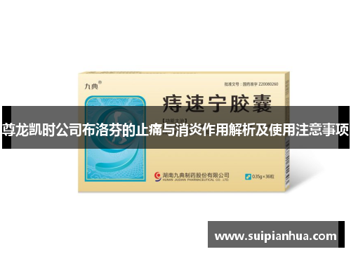 尊龙凯时公司布洛芬的止痛与消炎作用解析及使用注意事项