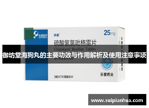 御坊堂海狗丸的主要功效与作用解析及使用注意事项