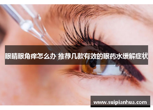 眼睛眼角痒怎么办 推荐几款有效的眼药水缓解症状