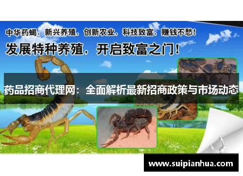 药品招商代理网：全面解析最新招商政策与市场动态