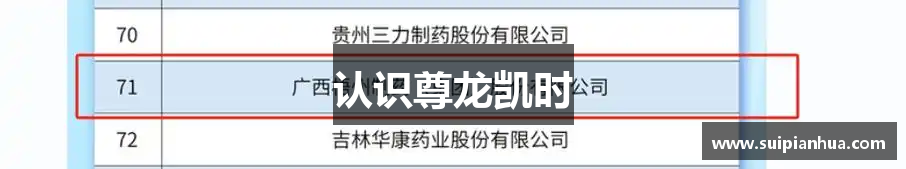 认识尊龙凯时